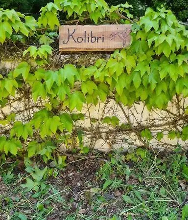 Kolibri Am Fluss * Leipzig