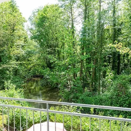 Kolibri Am Fluss *