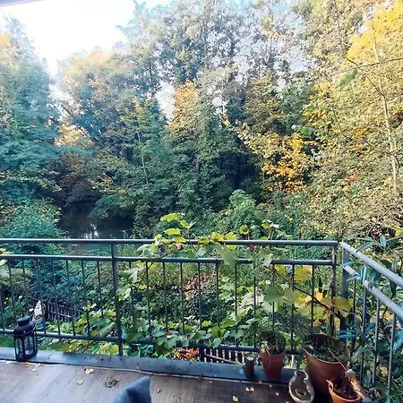 Kolibri Am Fluss *