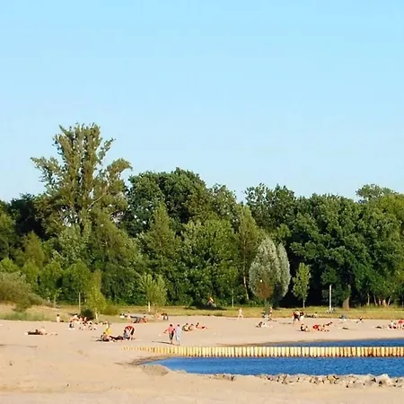 Kolibri Am Fluss Daire Leipzig