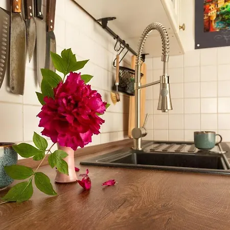 Apartment Kolibri Am Fluss Leipzig