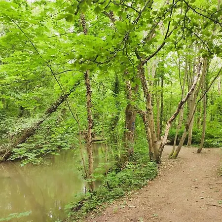Kolibri Am Fluss